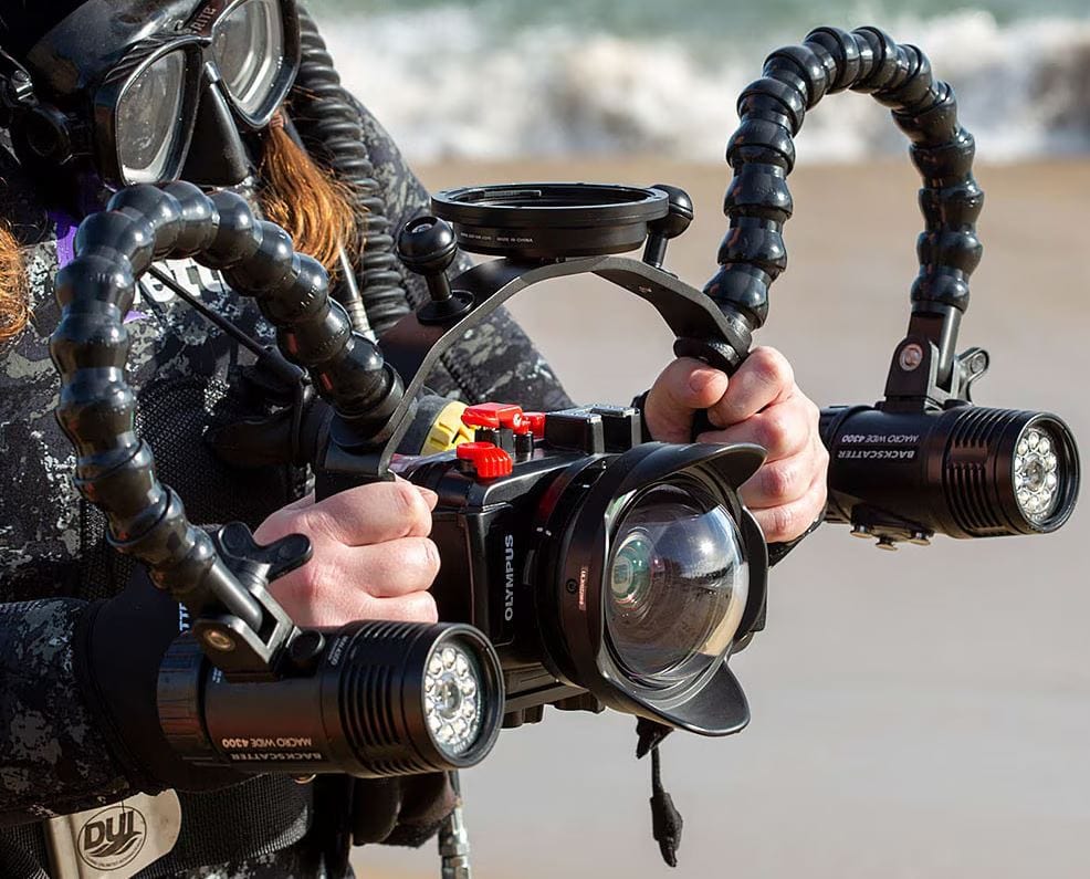 Backscatter - Wide Double Handle & Tray with Arch - Image 6