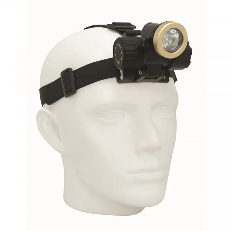 Big Blue - 450-Lumen Narrow Beam Head Lamp