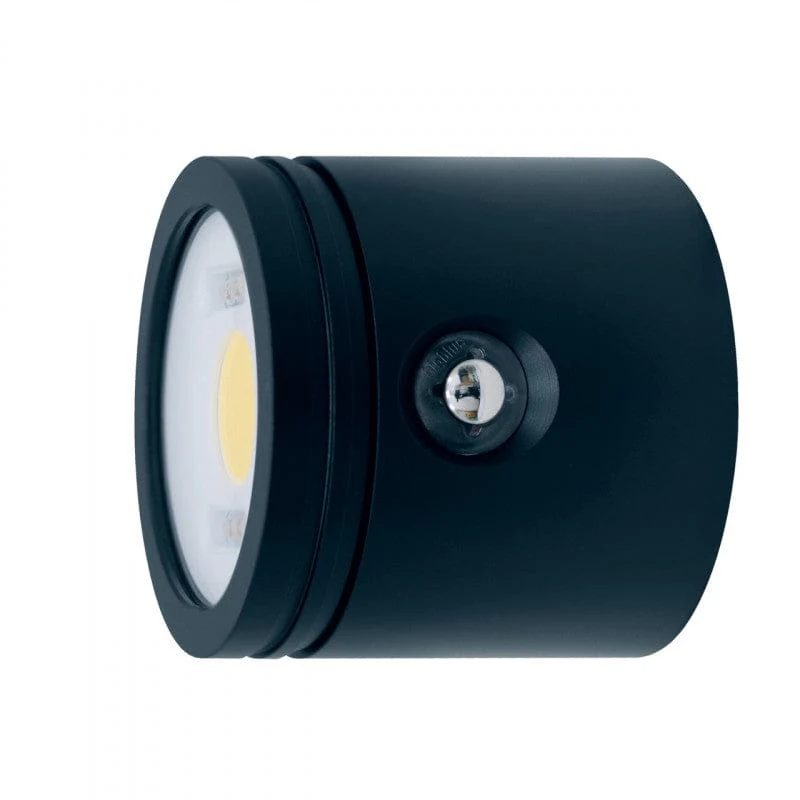 Big Blue - Light Head for CB7200P
