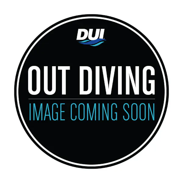 DUI - Inlet Valve Apeks Swivel