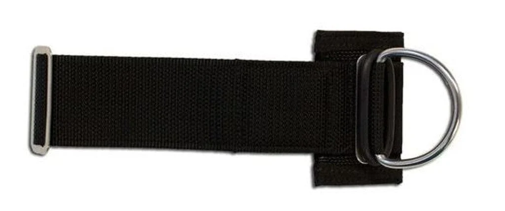 Halcyon - CINCH™ D-RING ASSEMBLY