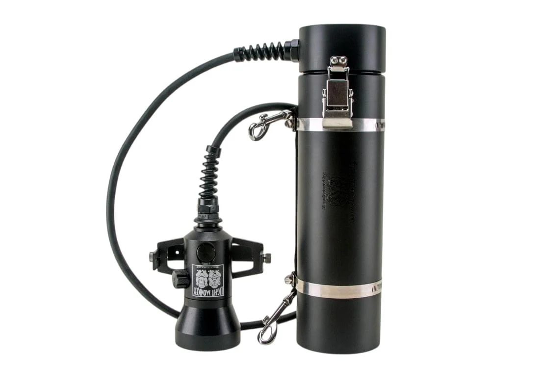 Light Monkey - 30-32 VF LED Light - Image 6