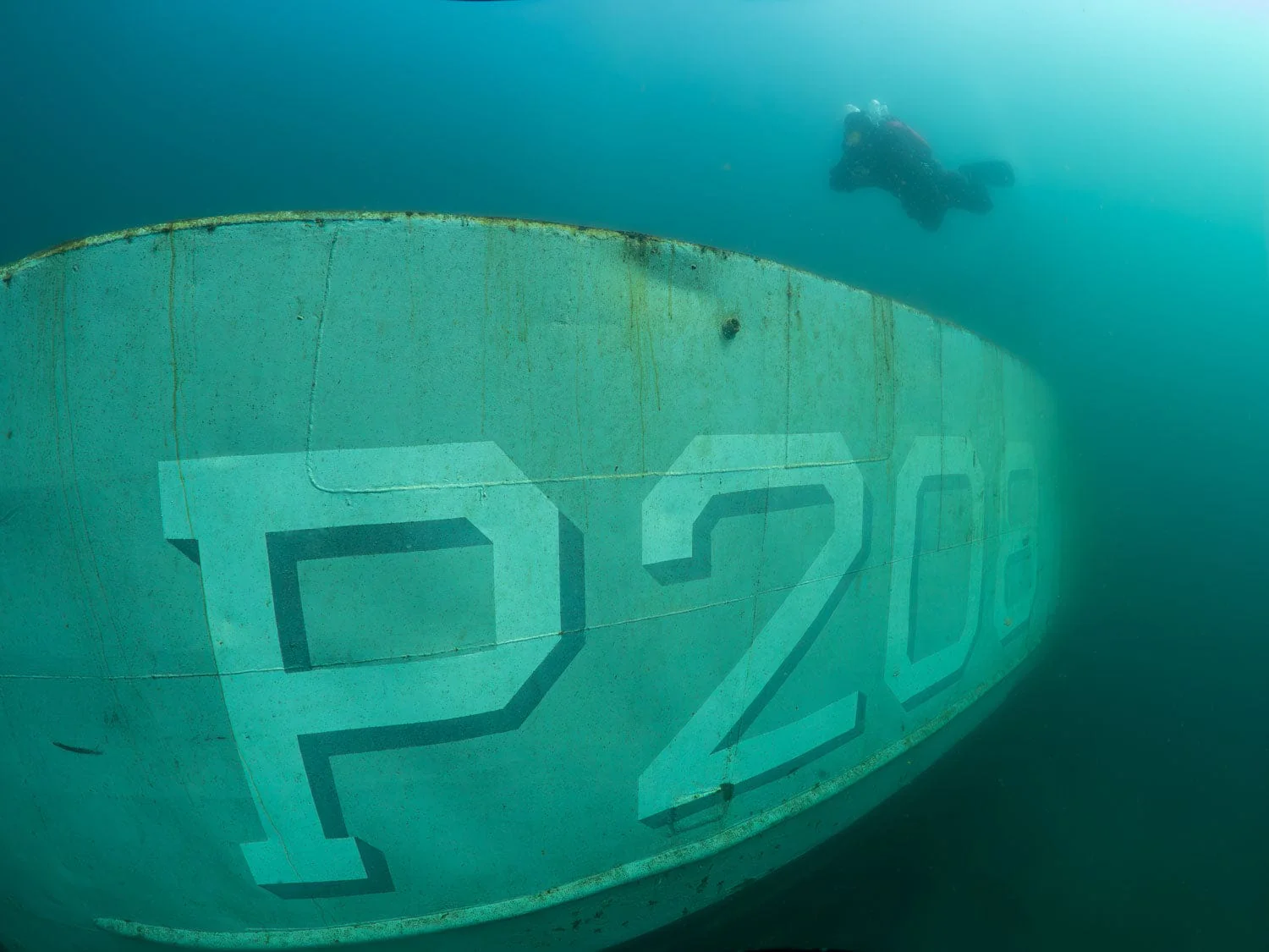 Monday - Dive San Carlos - 2 Tank Coastal Dive - 7:00 AM