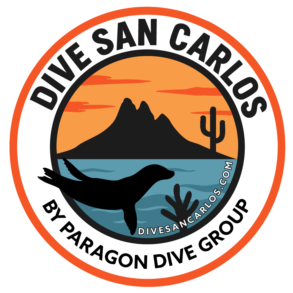 Paragon Dive - Dive San Carlos Shirt - Image 3