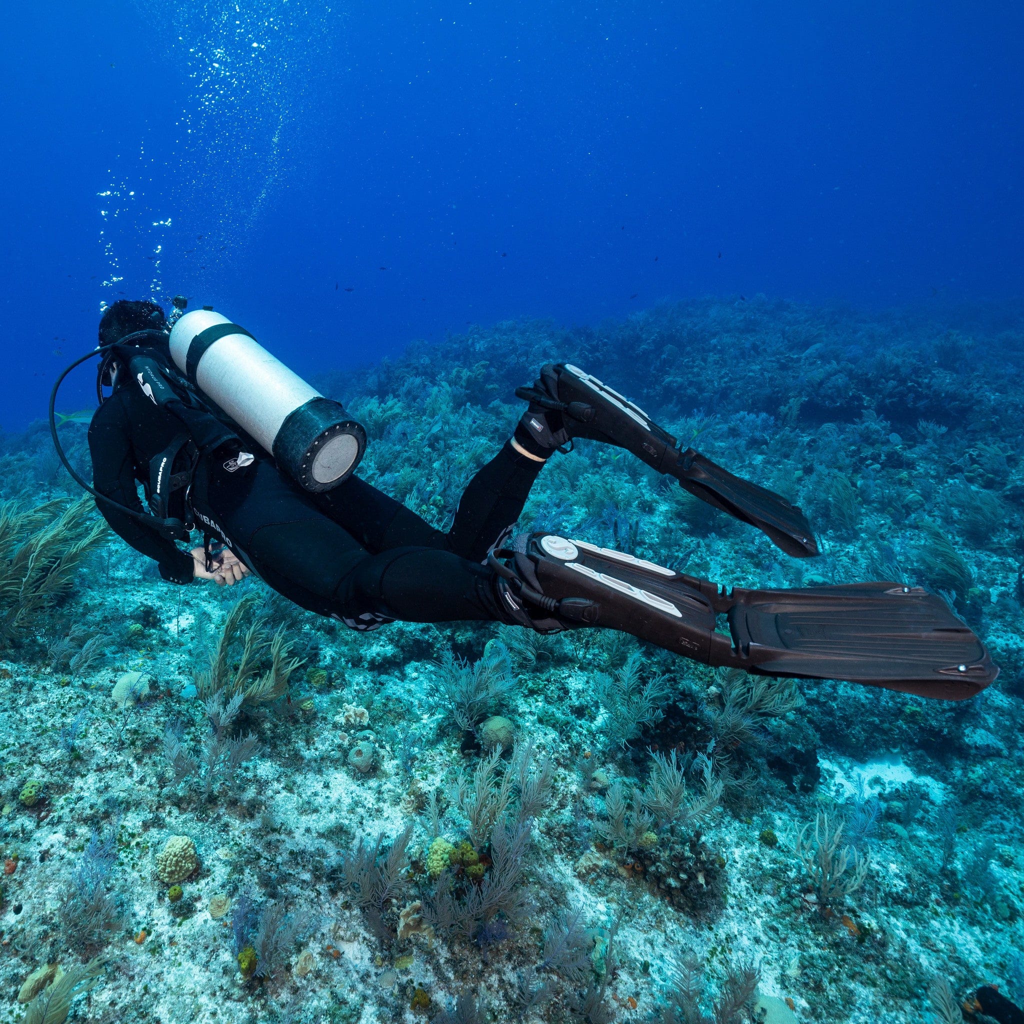 SCUBAPRO - Midi Seawing Supernova Bungee Fin Strap - Image 2