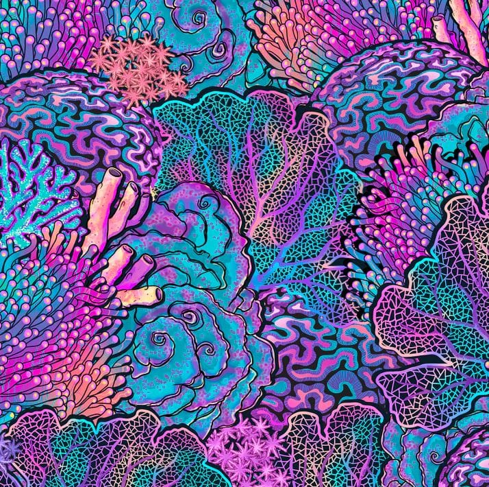 Spacefish Army - Coral Kaleidoscope Scuba Headband - Image 2