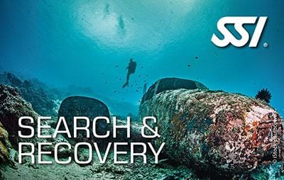 SSI - Search & Recovery