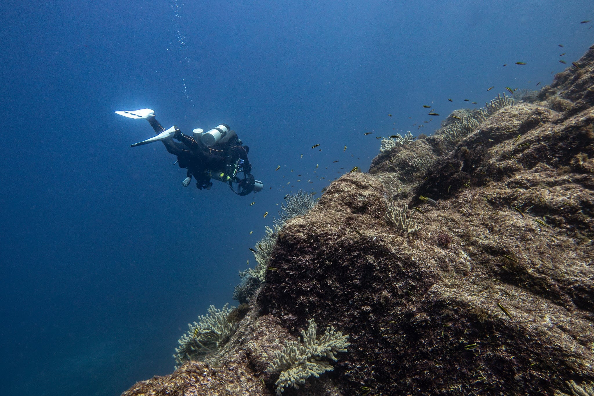 Thursday - Dive San Carlos - 3 Tank Island Dive - 7:00 AM