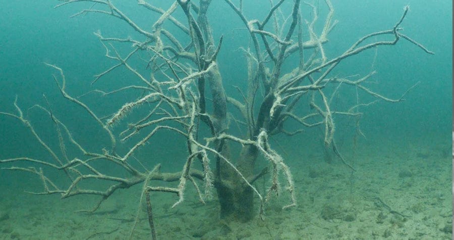Travel - Lake Pleasant - Open Water Certification Dives