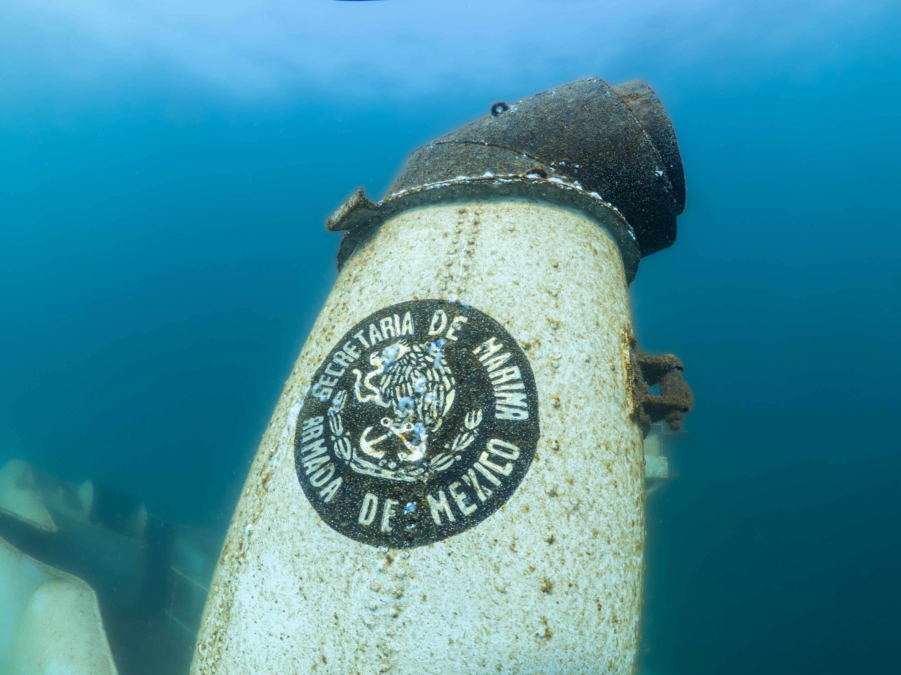 Wednesday - Dive San Carlos - 2 Tank Coastal Dive - 7:00 AM