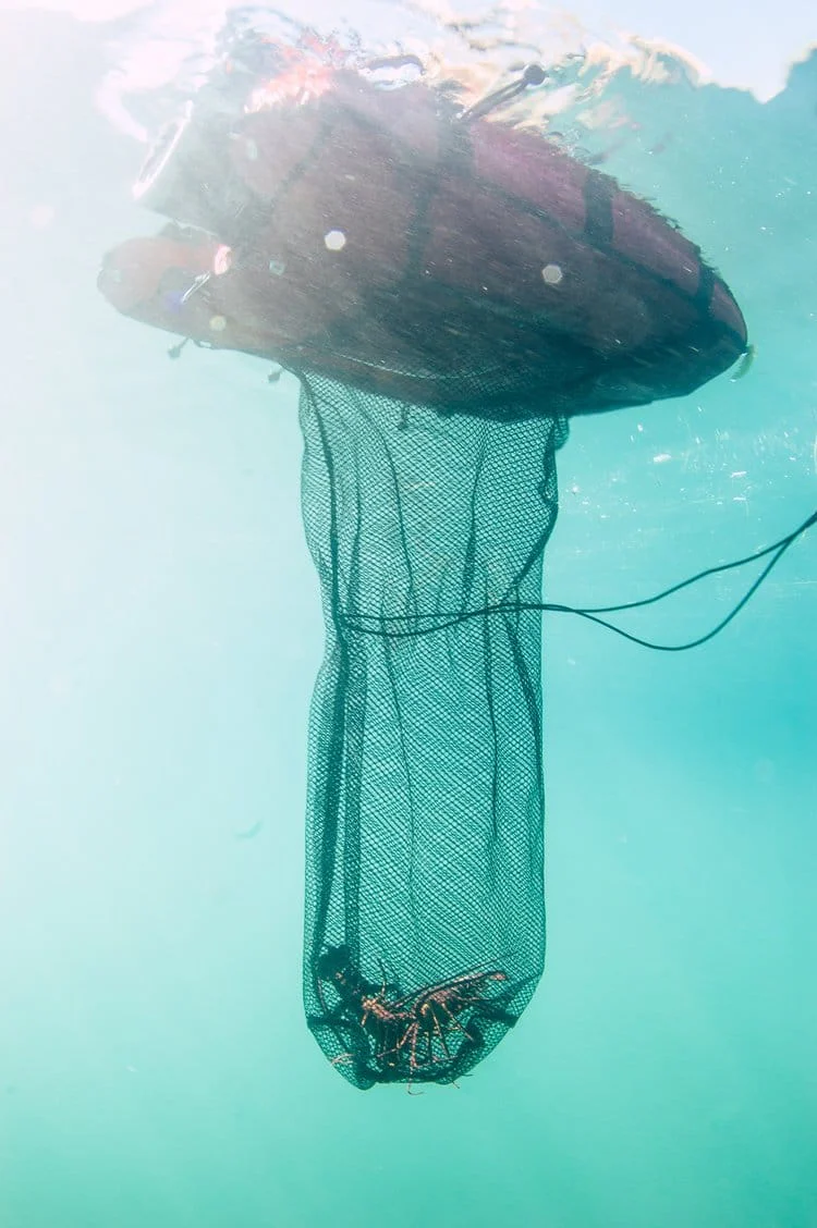 XS Scuba - Universal Floating Object (UFO) - Image 3